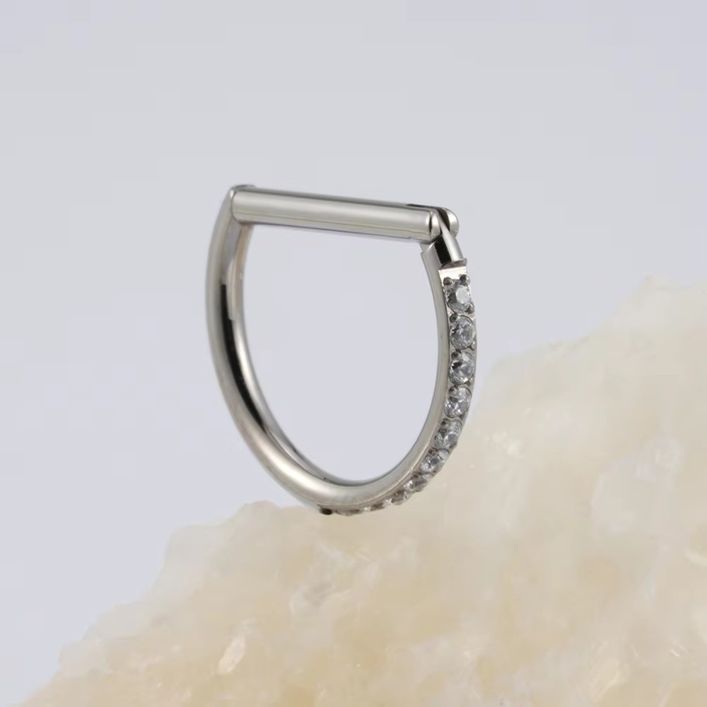 Anello per Septum in Titanio A - Body Jewelry Display Case recensione e prezzo