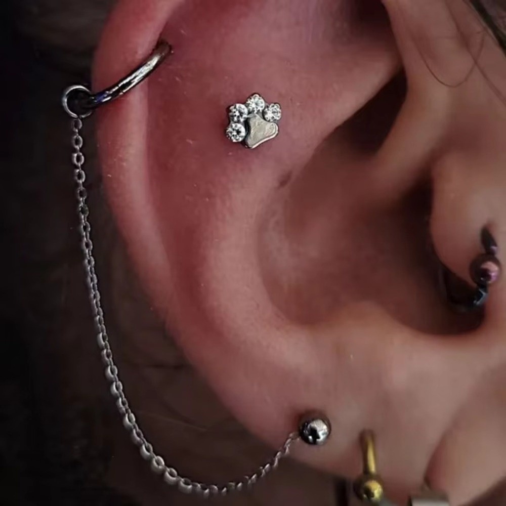 Catena per Naso in Titanio a T - Body Jewelry Titanium recensione e prezzo