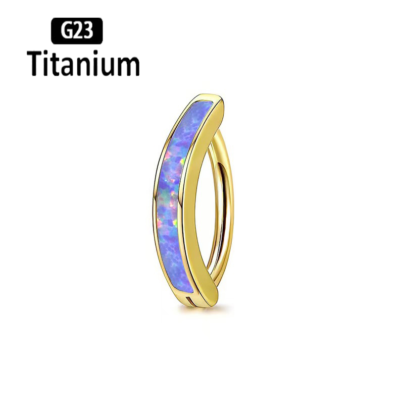 1PC 14G Grado Impianto G23 Tit - Body Jewelry Implant Grade recensione e prezzo