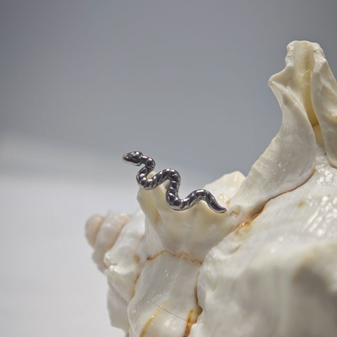 16G Titanio Impianto Grado Alt - Body Jewelry Implant Grade recensione e prezzo