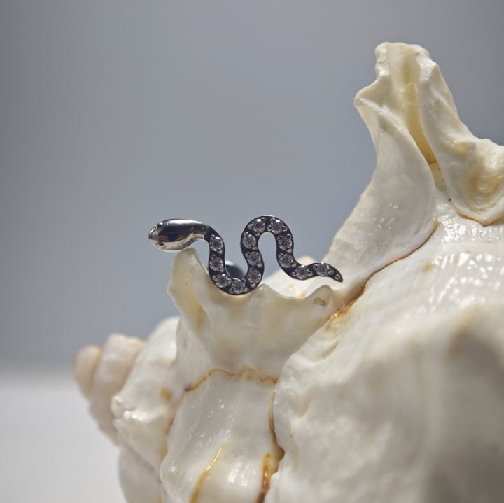 16G Titanio Impianto Grado Alt - Body Jewelry Implant Grade recensione e prezzo