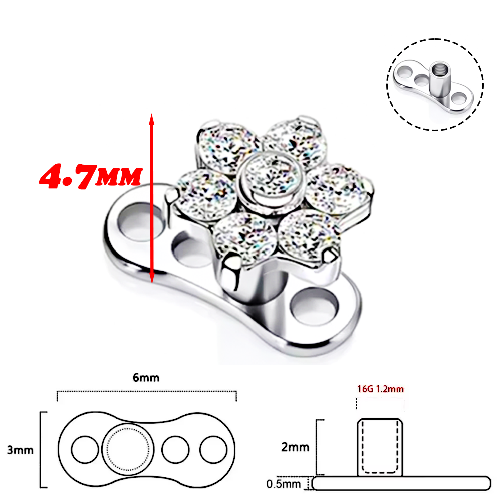 F136 Lega di titanio Fiore di  - Body Jewelry Implant Grade recensione e prezzo